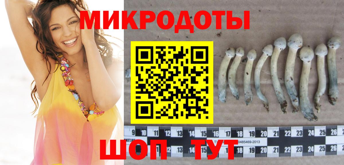 Галлюциногенные грибы MAGIC MUSHROOMS Новодвинск